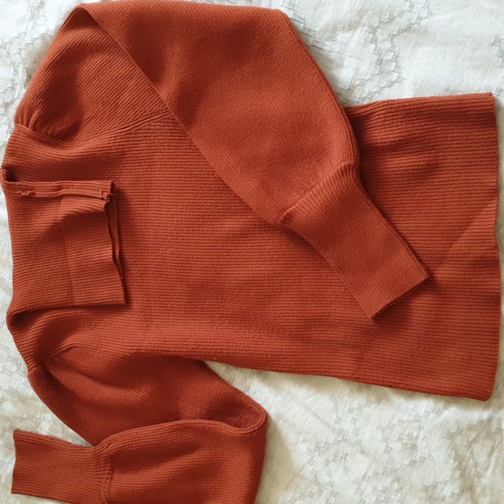 Rust turtleneck sweater